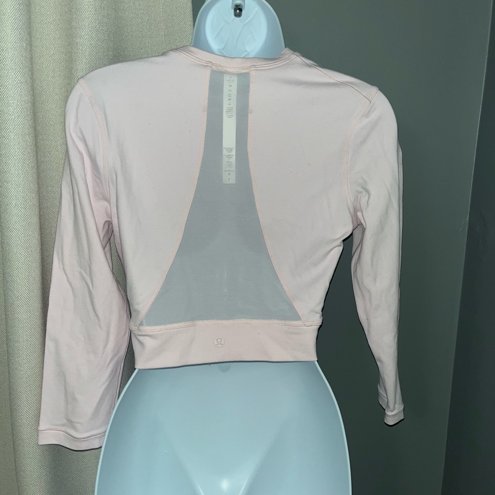 long sleeve crop top with mesh detail